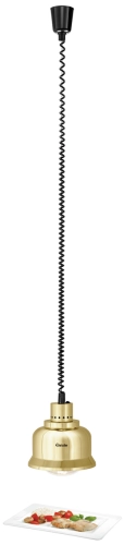 Lampa grzewcza IWL250D GO