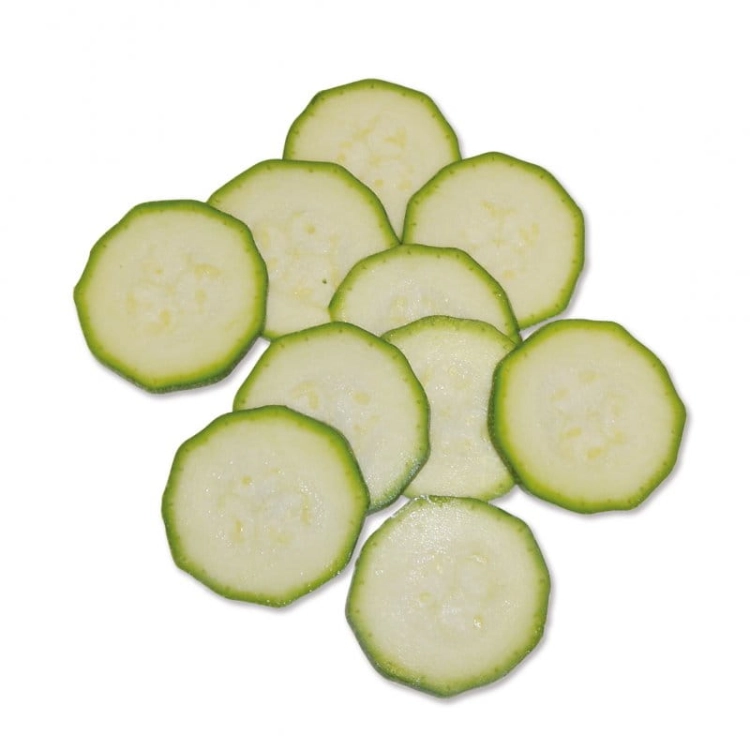 fcs-slicing-discs (1).jpg