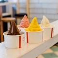 lody_soft_2.jpg