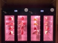 899ab36de80c2da0c864792c1012f53b